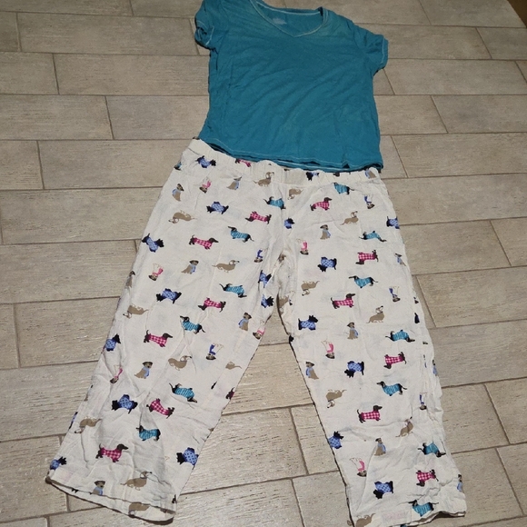 Unknown Other - Women's XL Pajama Set with Turquoise Top and White Bottom with Puppy Print